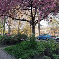 Majina_M (@favouredmmm) 's Twitter Profile Photo