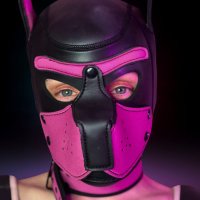 PynkThePup (@pynkthepup) 's Twitter Profile