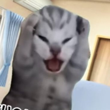 Z1Axqdqzau27712's profile picture. 再現性も未来もない大学院生ぬっこ(医学系) そのうち野生に返されそうな予感がしている …。(野生に返ることがほぼ決定)☆ぼざろ、シャニマス、デレステetc. 🎸喜多ちゃん、🍶きくり姐さん推し 🟢冬優子推し