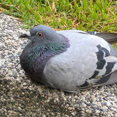 EixtnoOさんのプロフィール画像