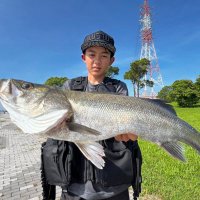 はやと (@nsk_seabass) 's Twitter Profile