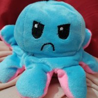 anjali bisht (@anjalib35519542) 's Twitter Profile