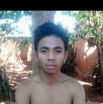 kardo1336422's profile picture. 