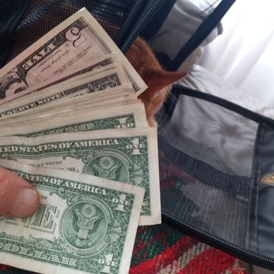 CSuck83616's profile picture. 