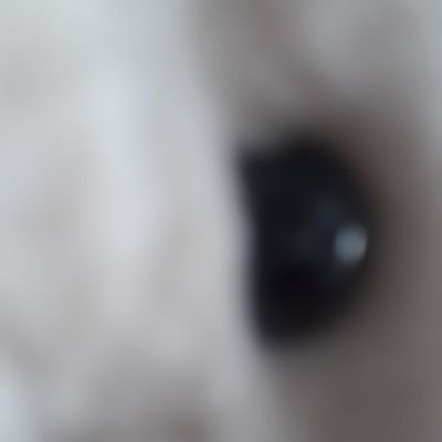 weiweiさんのプロフィール画像