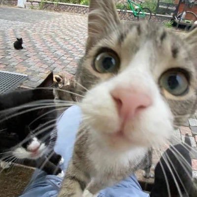 secondlifetrue's profile picture. Random life