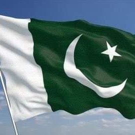 MUHAMMA93973365's profile picture. 