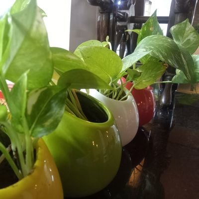 AbhayaMaha28326's profile picture. 