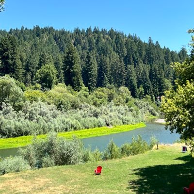 turbojuicee's profile picture. 