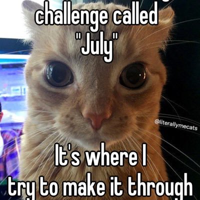 celestiekekw's profile picture.