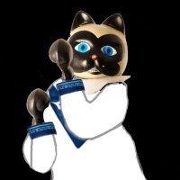 🇫🇮 El Gato De Verdaguer Velezano 🇮🇹 (@gatoverdaguervs) 's Twitter Profile