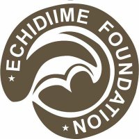 ECHIDIIME FOUNDATION (@echifoundation) 's Twitter Profile