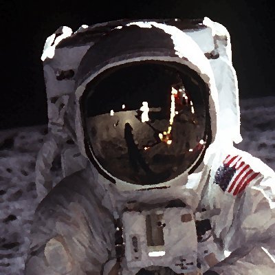 tuchenholler's profile picture. 