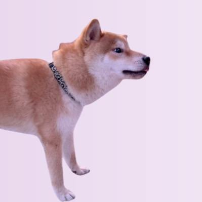 hachicto5's profile picture. https://t.co/1mMEMCOoS4