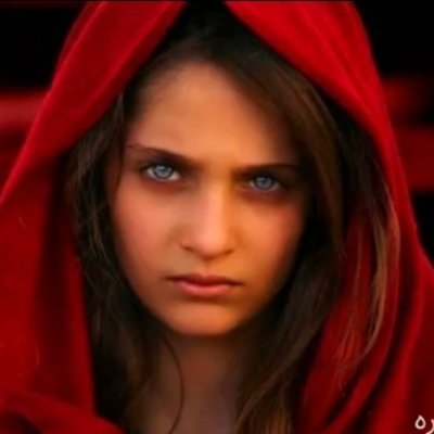 من هیچ نیستم، جز یک گوش خوابانده، یک چشم به راه، از آن آدمها که بهرحال کارشان تمام است ...