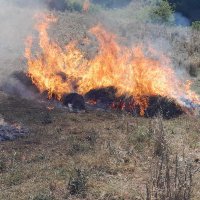 Mehmet Köse (@mehmetk64505592) Twitter profile photo