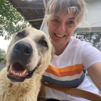 Nazan (@twyswonderland) Twitter profile photo
