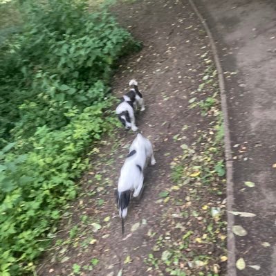 RobRiley1625339's profile picture. 