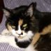 Maria Eugenia Aubine Benedetti (@maubine) Twitter profile photo Maria Eugenia Aubine Benedetti (@maubine) Twitter profile photo