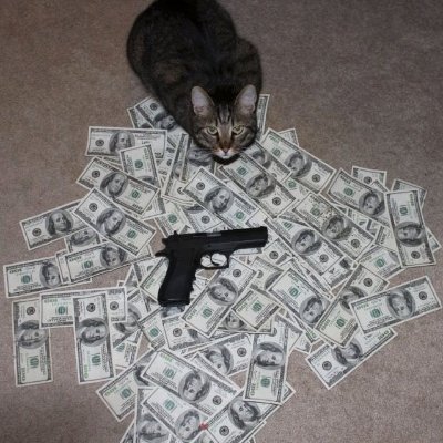 tickerLOADED's profile picture. LOCKED AND LOADED

https://t.co/6qKDPDTaTQ