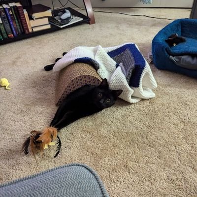 RndmMdwstNbdy's profile picture. Husband, Nerd, Proud American.