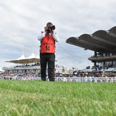 Sports photography and written content. Horse Racing, Greyhound Racing, Football and Cricket.