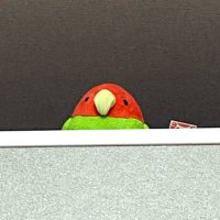 よわとり (@weaknessbird) 's Twitter Profile