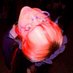 𓆩osc444𓆪 (@osc444x) Twitter profile photo 𓆩osc444𓆪 (@osc444x) Twitter profile photo