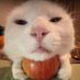 Yifei Wang (@yifeiwang342582) Twitter profile photo Yifei Wang (@yifeiwang342582) Twitter profile photo