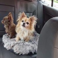 richard dougan (@rd1dougan) 's Twitter Profile