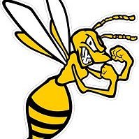 Hanover Hornets 2026 (@2026hornets) 's Twitter Profile