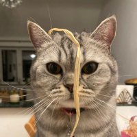 Antoine Lambroschini (@alfafp) 's Twitter Profile Photo Antoine Lambroschini (@alfafp) 's Twitter Profile Photo