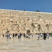 Paulus 🇬🇧🇮🇱🇦🇺🎗️ (@papa_pa_25) 's Twitter Profile Photo Paulus 🇬🇧🇮🇱🇦🇺🎗️ (@papa_pa_25) 's Twitter Profile Photo
