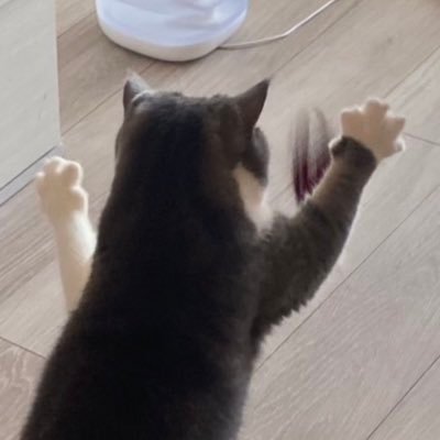 yy_yy_yy22's profile picture. 