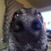 Bartholomew (@bartholomew019) Twitter profile photo Bartholomew (@bartholomew019) Twitter profile photo
