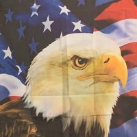 Virginia Conservative (@rwmoore001) 's Twitter Profile Photo