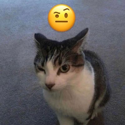 594_v587's profile picture. 