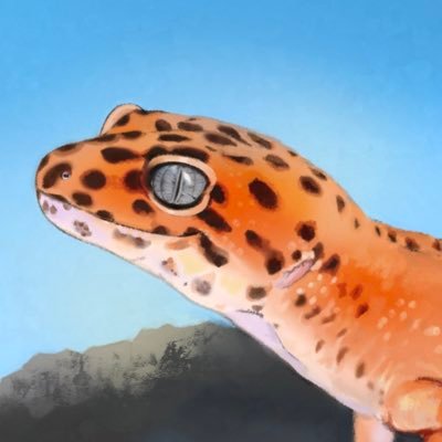 レオパ飼育4年目。インフェルノの焔(ほむら)、スパマクの爛柯(らんか)、w&yスノーレーダーの鼓(つづみ)の3匹飼育中です。