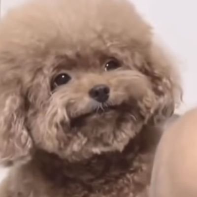 hy_o4o5's profile picture. 