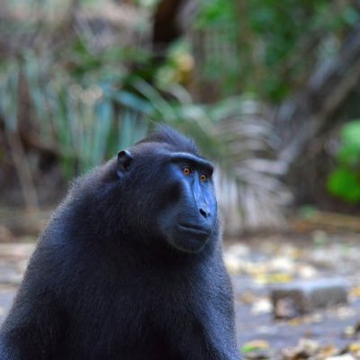 Makatat92's profile picture. 