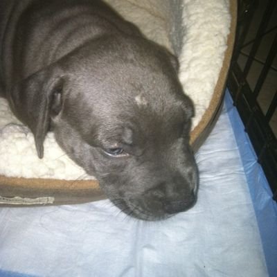 PhinAddikt's profile picture. Phin Addikt