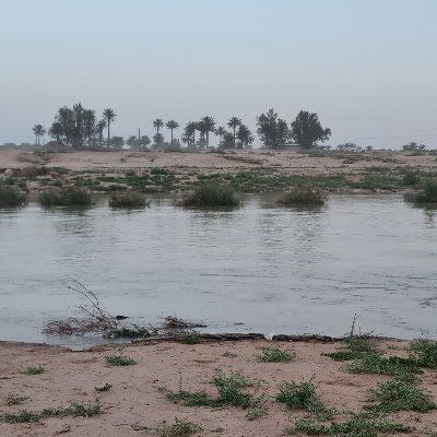 etlalea's profile picture. متابع وقارئ