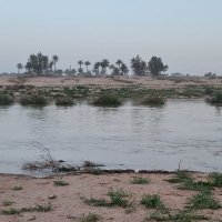 إطلالة (@etlalea) 's Twitter Profile Photo إطلالة (@etlalea) 's Twitter Profile Photo