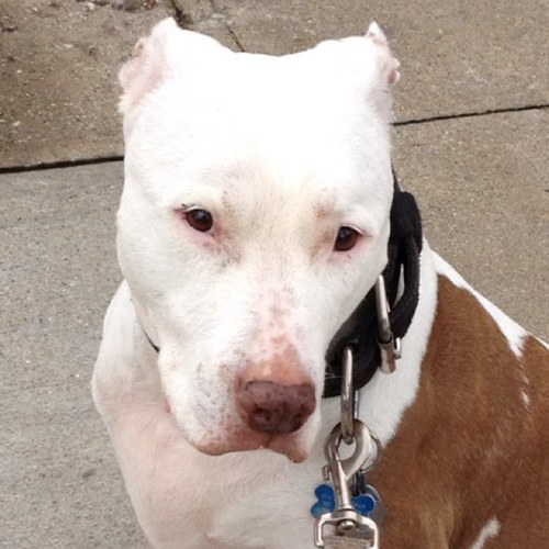 lilone716emily's profile picture. My life, My way! Dare to be true to yourself! Think posititve and best foot forward!