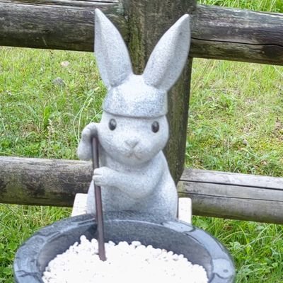 kouzumamoru's profile picture. V🍆🐰👑❤️‍🩹
ブルアカ