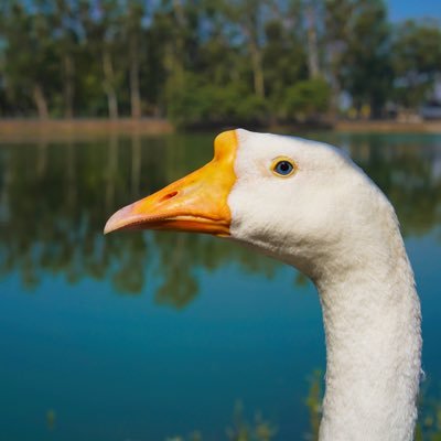 malhotramoves's profile picture. Explorer, Coder, Coffee-Drinker, Fitness Freak, Nature-Lover, Tech-Enthusiast, Interested in emerging tech AI, AR. Broadening my horizons