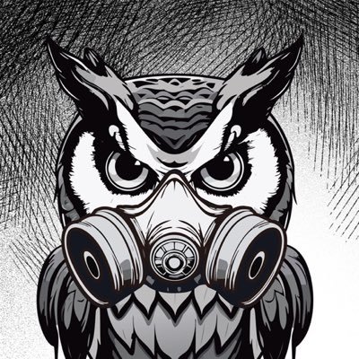 キリエ・バートン🦉電気屋のフクロウさんのプロフィール画像