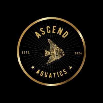Tanking Made Easy!!! Husband, father, Fish Keeping is my passion, Fresh Water Aquarium Maintenance and More! IG @ascendaquatics