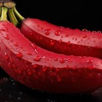 Red banana (@redbanana743883) 's Twitter Profile Photo Red banana (@redbanana743883) 's Twitter Profile Photo
