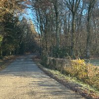 weirdcore (@weirdcore) 's Twitter Profile